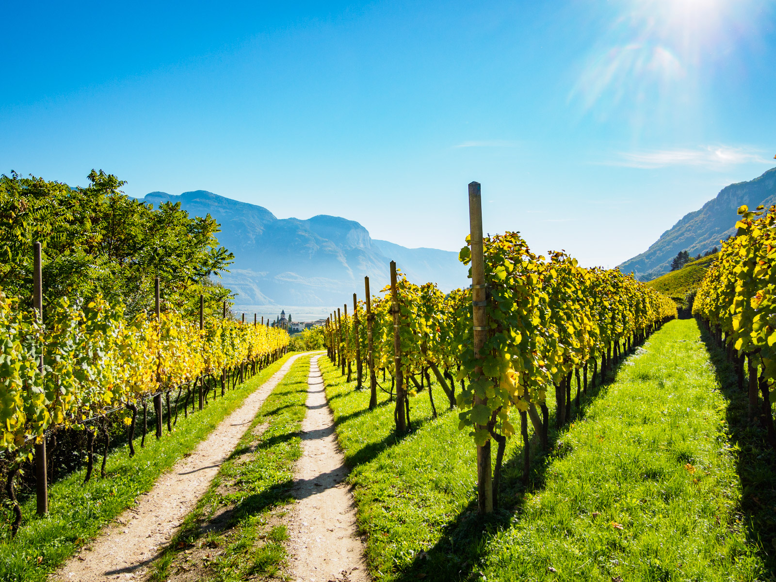 Weinberge Weinberge