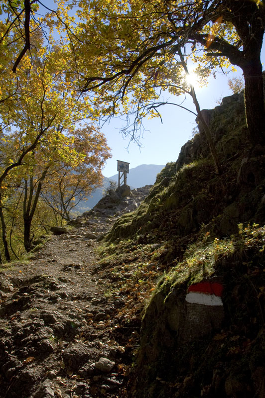 Gut markierte Wanderwege führen durch das Biotop im Südtiroler Unterland
