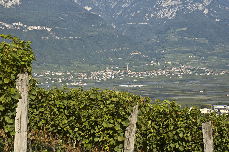 Weinbaugebiet Kalterer See