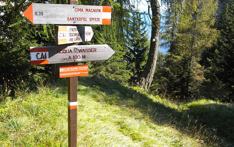 Wandern am Gantkofel in Südtirol