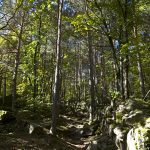 Herbststimmung auf dem Weg zu den Eislöchern zwischen Eppan und Kaltern