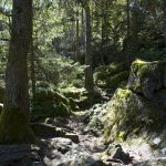 Herbststimmung auf dem Weg zu den Eislöchern zwischen Eppan und Kaltern