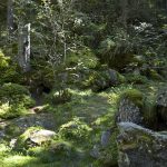 In den Eislöchern bei Eppan im Südtiroler Unterland