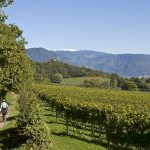 Von den Eislöchern zum Kreuzstein im Herbst in Südtirol