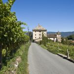Eppan und Kaltern Weinbaugebiete in Südtirols Süden