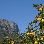 Der Gantkofel im Süden Südtirols