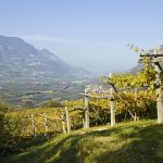 Wanderung Salurn Haderburg Buchholz