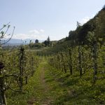 Drei Burgen Wanderung