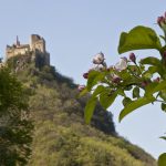 Burgen Wanderung durch Obstplantagen