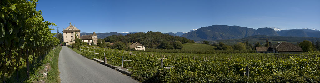 Weinbau in Südtirols Süden