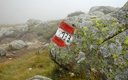 zur Laugenspitze