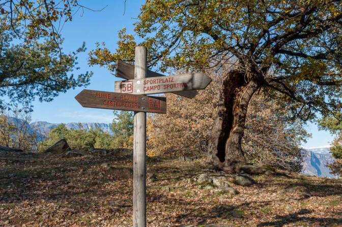 Auf den Weg nach Castelfeder (alte prähistorische, römische und mittelalterliche Siedlung zwischen Auer und Neumarkt)