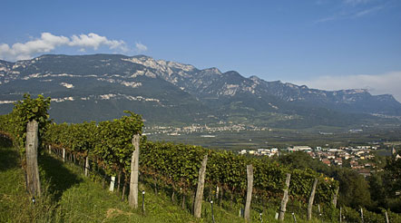 Auf den Weg zur Ruine Kaldiff