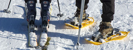 Schneeschuhwanderung und Tourenski