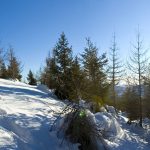 Unterwegs auf Meran 2000
