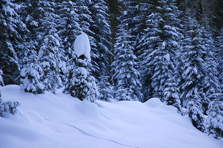 Schneeschuhwandern zum Petersberger Leger