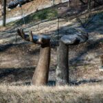 Kunst, Künstlerin Sieglinde Tatz-Borgogno, Skulptur, Skulpturengarten Buchholz