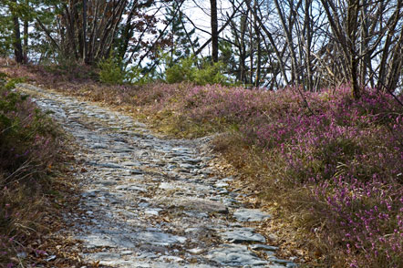 Albrecht Dürer Weg von Laag nach Buchholz im Süden Südtirols