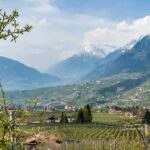 Dorf Tirol, Mutspitze, Schenna, Schenner Waalweg