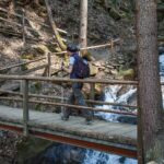 wandern