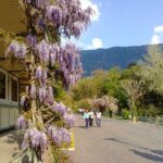 Meran