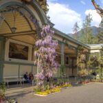 Meran