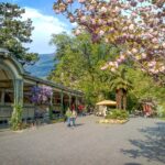 Meran