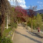 Meran
