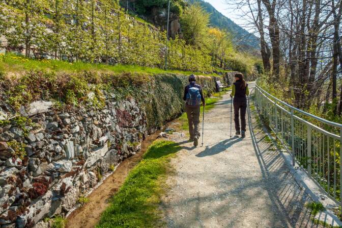 Andreas, Apfelbäume, Nadia, Sonnenpromenade, Waalweg
