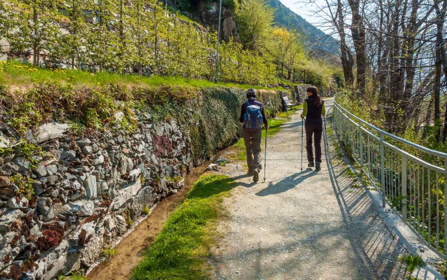 Andreas, Apfelbäume, Nadia, Sonnenpromenade, Waalweg