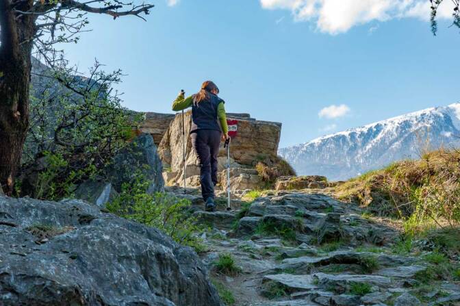 Von Schlanders nach Vetzan