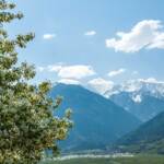 Morter, Ortler, Ortlergruppe, Vinschgau