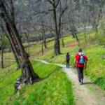 Andreas, Kastanienhain, Nadia