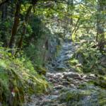 Tesimo, Tisens, wandern