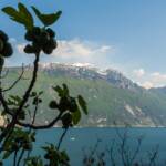 Gardameer, Gardasee, Laste di Tolghe, Monte Altissimo di Nago