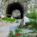 Alter Ponale Weg, Sentiero del Ponale