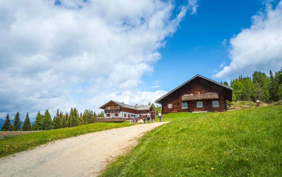 Rodenecker Alm, Roner Hütte