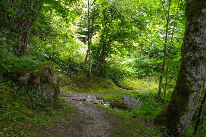 Auf dem Weg von Thumersbach zur Kapelle St. Sigismund