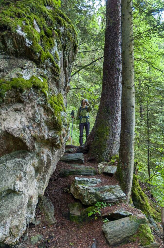 Der Steig hinauf auf den Penken