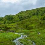 Almmatte, Almwiese, Almwiesen, Alpe, Schoppenbacher Höhe, Stangenhöhe