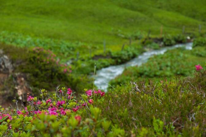 Der Abstieg von der Salzburger Hütte zur Ederalm