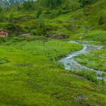 Almmatte, Almwiese, Almwiesen, Alpe, Bach, Hütte, baita, cabana, cabin, capanna, chalet, hut
