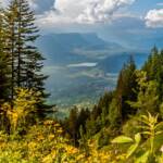 Ausblick zum Kalterer See