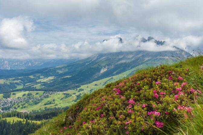 Auf dem Weg zum Latemar. Blick zum Nachbarberg, dem weltberühmten Rosengarten.
