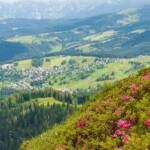 Alpenrosen, Karererpass