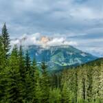 Catinaccio, Rosengarten, Rosengartengruppe