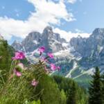 Brenta Dolomiten, Cima Tosa, Cimma Val Stretta, Crozzon di Brenta, Crozzon di Val d’Agola