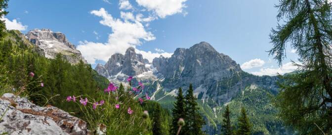 Ausblick auf die Brenta Dolomiten: Cima Fracinglo, Cima Tosa, Crozzon di Brenta, Crozzon di Val d'Agola, Punta di Campiglio