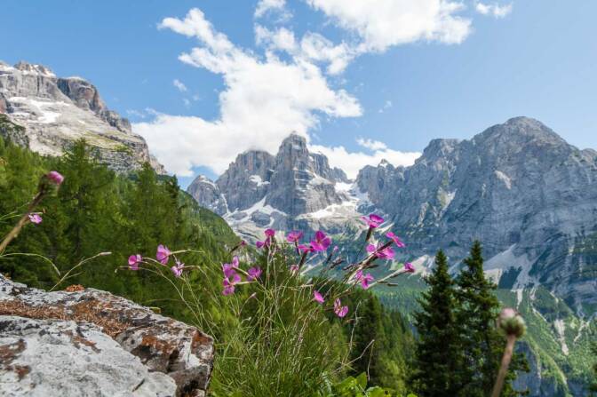 Die Brenta Dolomiten - Blick unweit der Schutzhütte Casinei