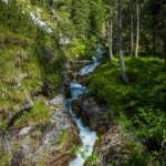 Bach, Sacra di Vallesinella, Vallesinella